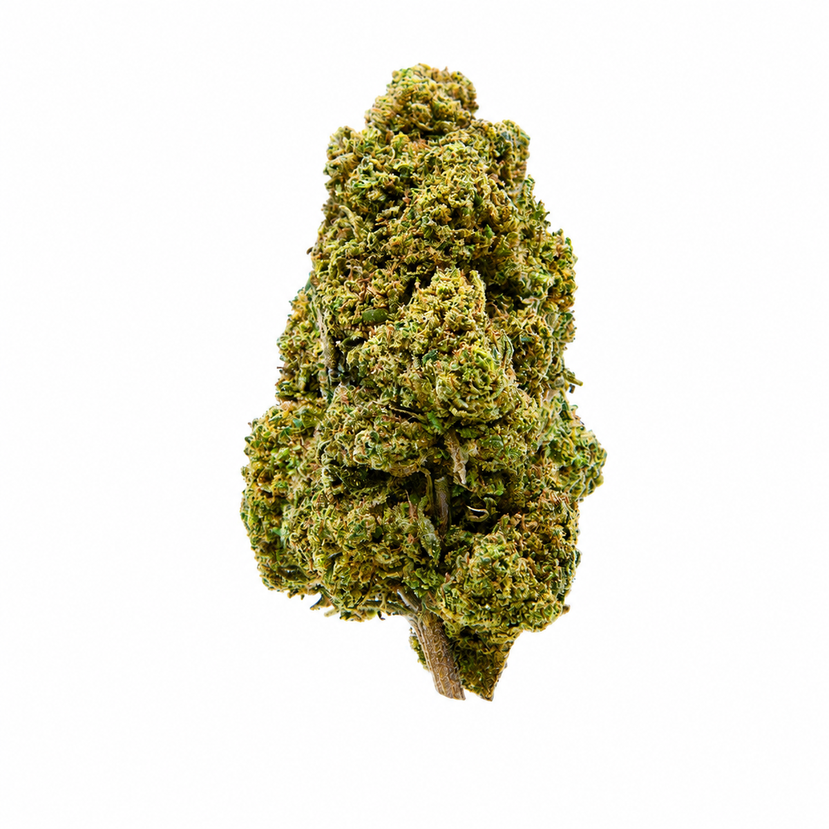 Fleur CBD - Cream Kush 10% 5g